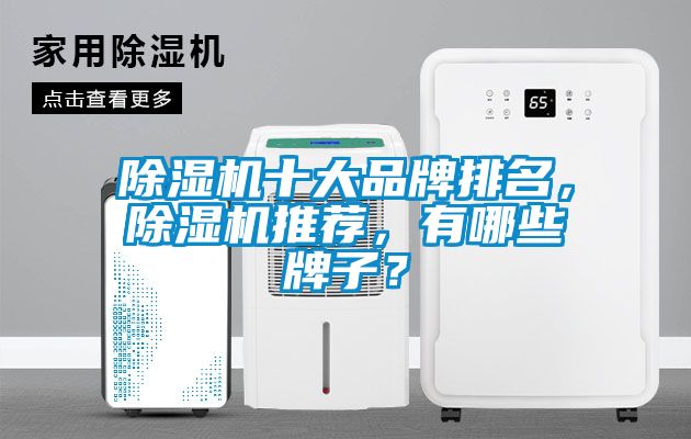除湿机十大品牌排名，除湿机推荐，有哪些牌子？