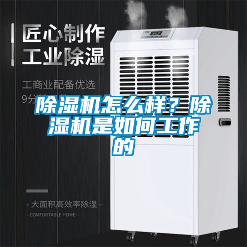 除湿机怎么样？除湿机是如何工作的