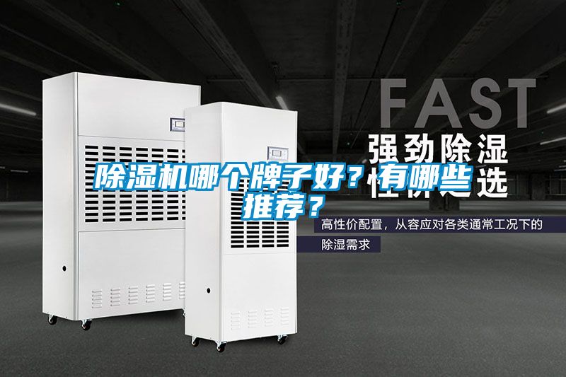 除湿机哪个牌子好？有哪些推荐？