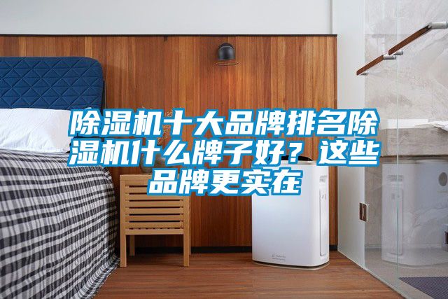 除湿机十大品牌排名除湿机什么牌子好？这些品牌更实在