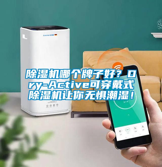 除湿机哪个牌子好？Dry-Active可穿戴式除湿机让你无惧潮湿！