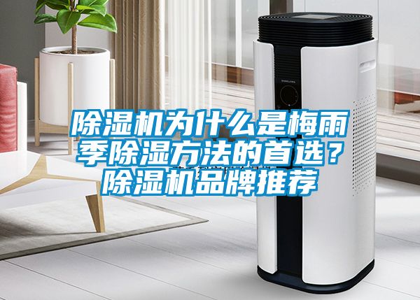 除湿机为什么是梅雨季除湿方法的首选？除湿机品牌推荐