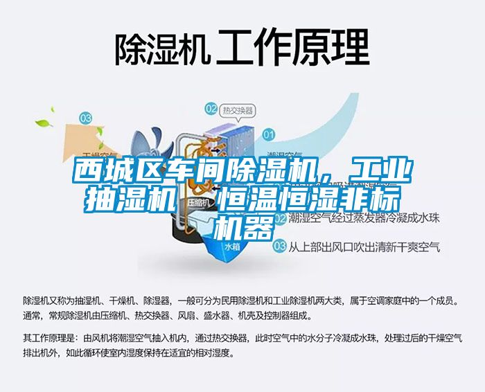 西城区车间除湿机，工业抽湿机  恒温恒湿非标机器