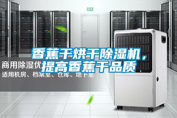 香蕉干烘干除湿机，提高香蕉干品质