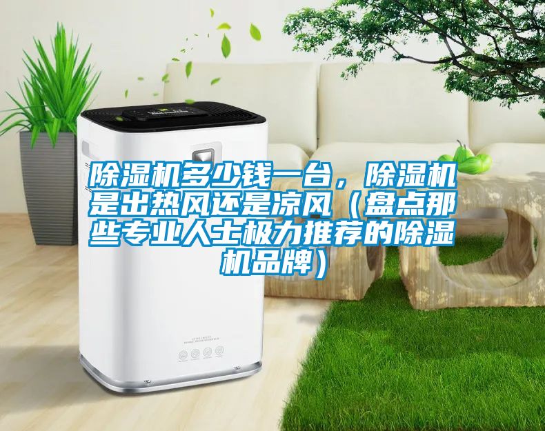 除湿机多少钱一台，除湿机是出热风还是凉风（盘点那些专业人士极力推荐的除湿机品牌）