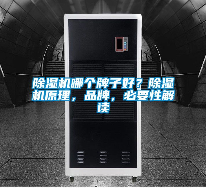 除湿机哪个牌子好？除湿机原理，品牌，必要性解读