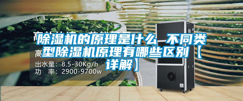 除湿机的原理是什么 不同类型除湿机原理有哪些区别【详解】