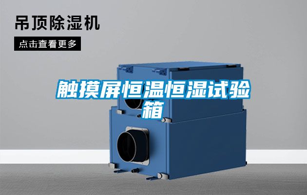 触摸屏恒温恒湿试验箱
