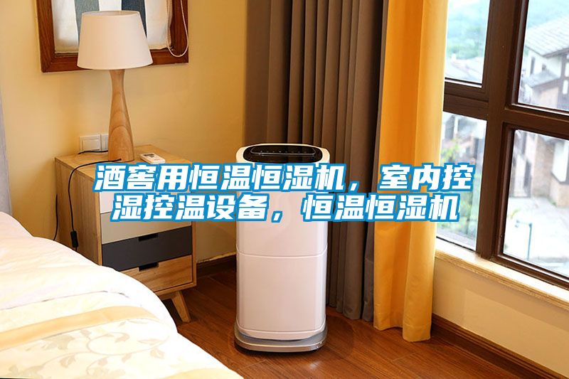 酒窖用恒温恒湿机，室内控湿控温设备，恒温恒湿机