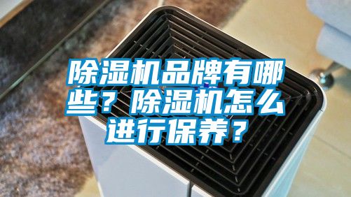除湿机品牌有哪些？除湿机怎么进行保养？