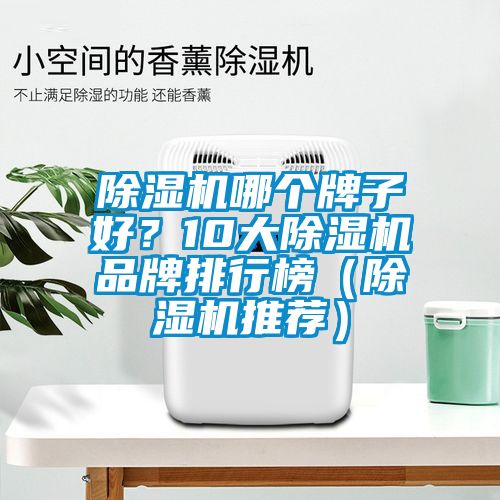 除湿机哪个牌子好？10大除湿机品牌排行榜（除湿机推荐）