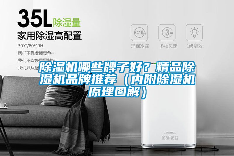 除湿机哪些牌子好？精品除湿机品牌推荐（内附除湿机原理图解）