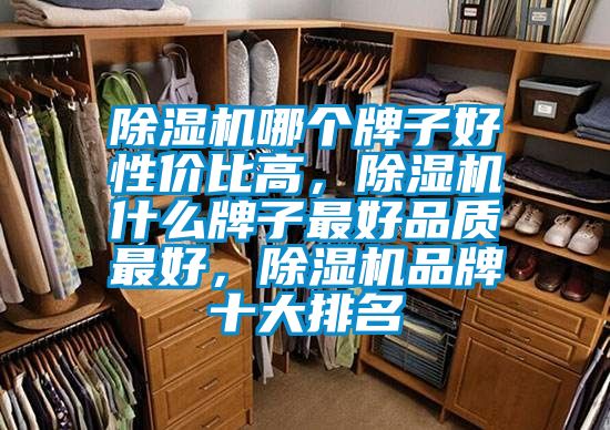 除湿机哪个牌子好性价比高，除湿机什么牌子最好品质最好，除湿机品牌十大排名