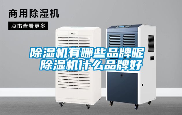 除湿机有哪些品牌呢 除湿机什么品牌好