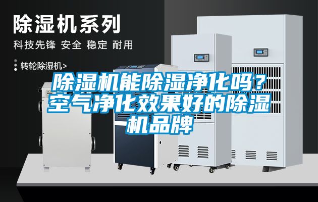 除湿机能除湿净化吗？空气净化效果好的除湿机品牌