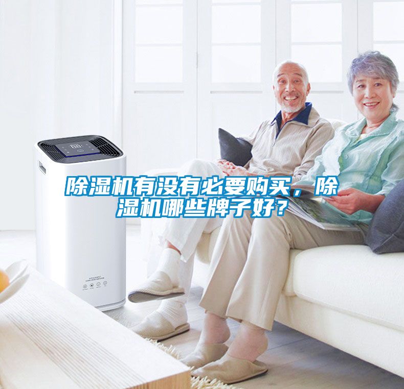 除湿机有没有必要购买，除湿机哪些牌子好？