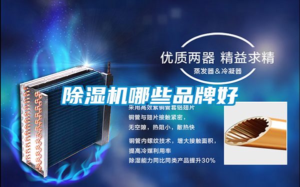 除湿机哪些品牌好