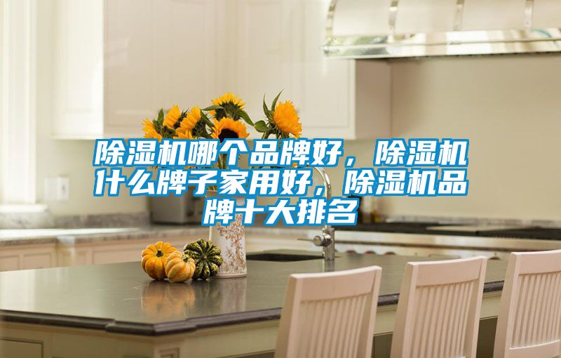 除湿机哪个品牌好，除湿机什么牌子家用好，除湿机品牌十大排名