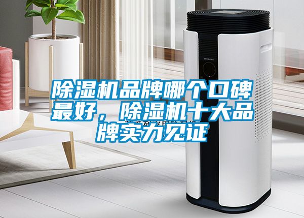 除湿机品牌哪个口碑最好，除湿机十大品牌实力见证