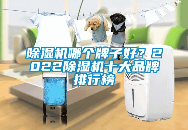 除湿机哪个牌子好？2022除湿机十大品牌排行榜