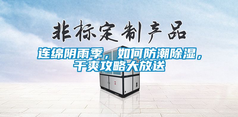 连绵阴雨季，如何防潮除湿，干爽攻略大放送