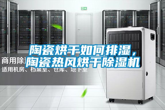 陶瓷烘干如何排湿，陶瓷热风烘干除湿机