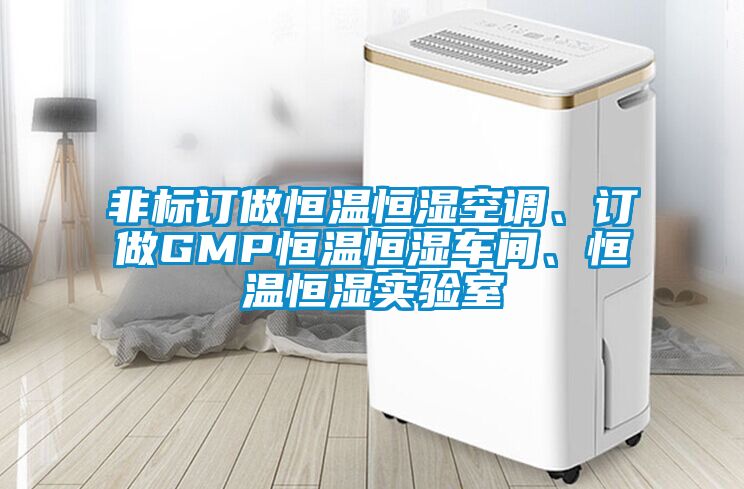 非标订做恒温恒湿空调、订做GMP恒温恒湿车间、恒温恒湿实验室