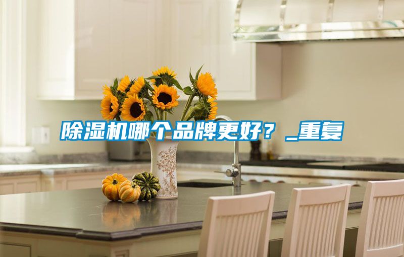 除湿机哪个品牌更好？_重复