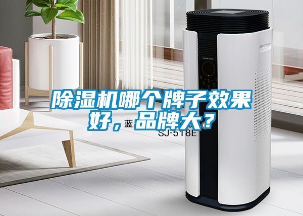 除湿机哪个牌子效果好，品牌大？