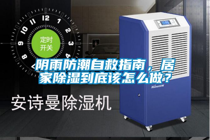 阴雨防潮自救指南，居家除湿到底该怎么做？