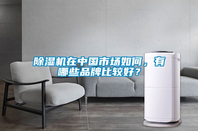 除湿机在中国市场如何，有哪些品牌比较好？