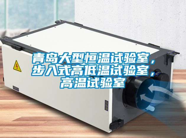 青岛大型恒温试验室，步入式高低温试验室，高温试验室