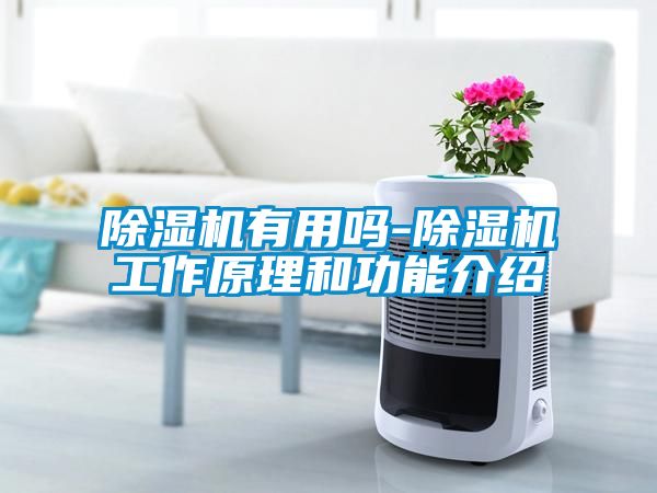 除湿机有用吗-除湿机工作原理和功能介绍