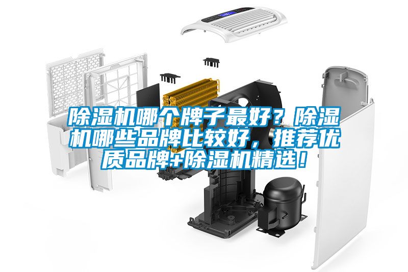 除湿机哪个牌子最好？除湿机哪些品牌比较好，推荐优质品牌+除湿机精选！