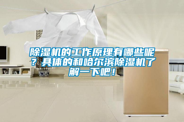 除湿机的工作原理有哪些呢？具体的和哈尔滨除湿机了解一下吧！