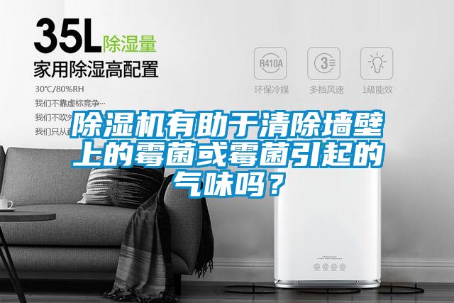 除湿机有助于清除墙壁上的霉菌或霉菌引起的气味吗？