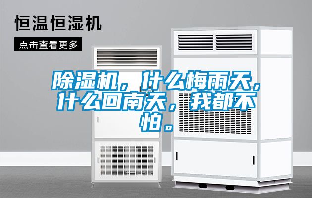 除湿机，什么梅雨天，什么回南天，我都不怕。