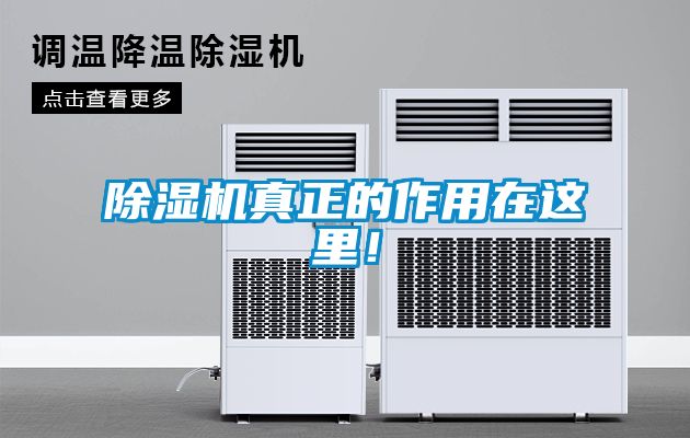 除湿机真正的作用在这里！