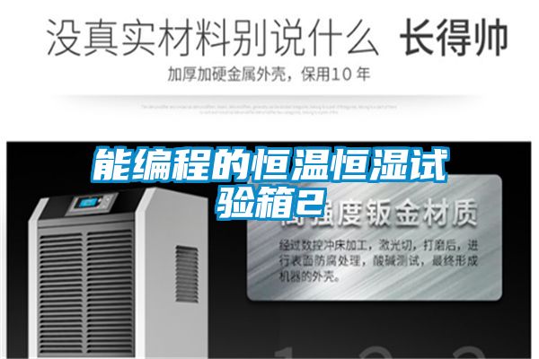能编程的恒温恒湿试验箱2