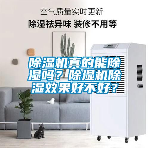 除湿机真的能除湿吗？除湿机除湿效果好不好？