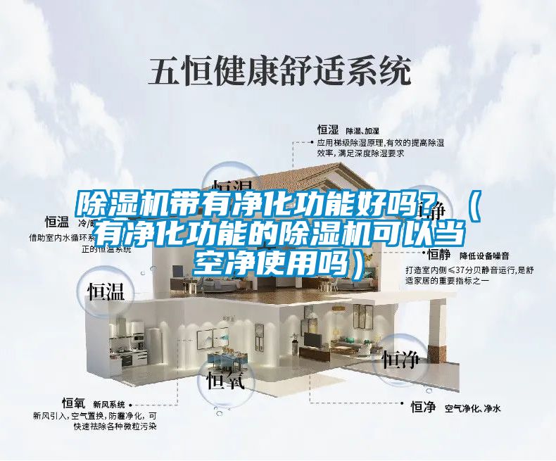除湿机带有净化功能好吗？（有净化功能的除湿机可以当空净使用吗）