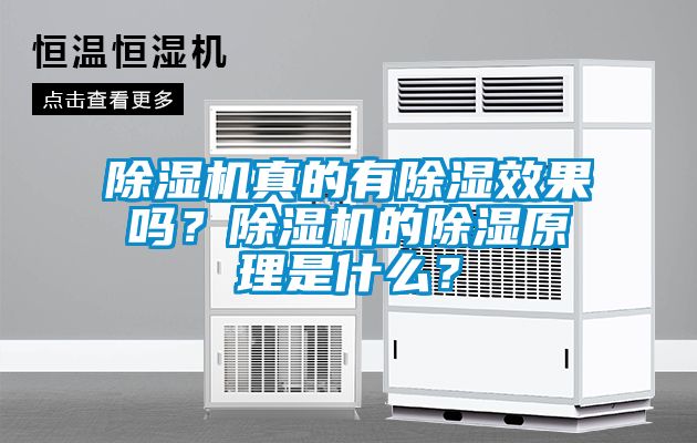 除湿机真的有除湿效果吗？除湿机的除湿原理是什么？