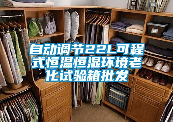 自动调节22L可程式恒温恒湿环境老化试验箱批发