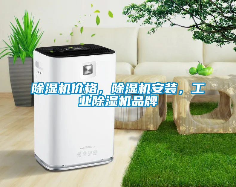 除湿机价格，除湿机安装，工业除湿机品牌