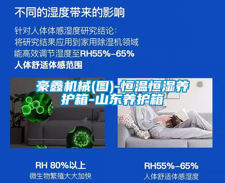 豪鑫机械(图)-恒温恒湿养护箱-山东养护箱