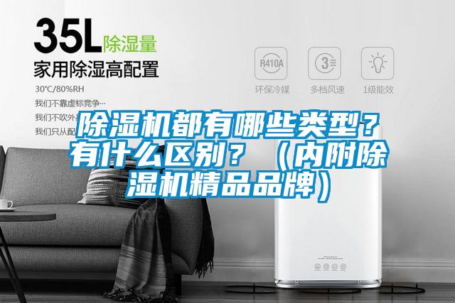 除湿机都有哪些类型？有什么区别？（内附除湿机精品品牌）