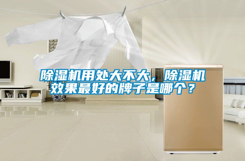 除湿机用处大不大，除湿机效果最好的牌子是哪个？