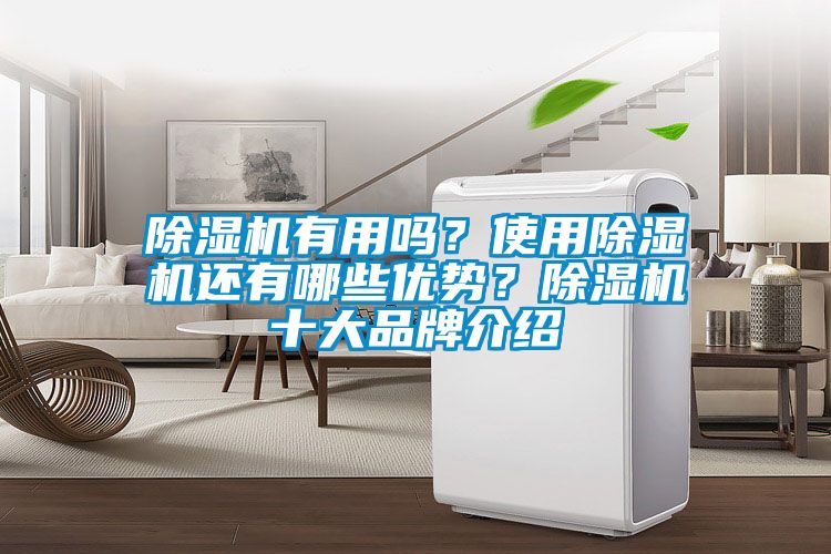 除湿机有用吗？使用除湿机还有哪些优势？除湿机十大品牌介绍