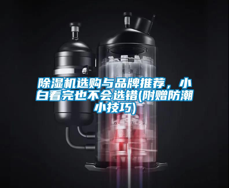 除湿机选购与品牌推荐，小白看完也不会选错(附赠防潮小技巧)