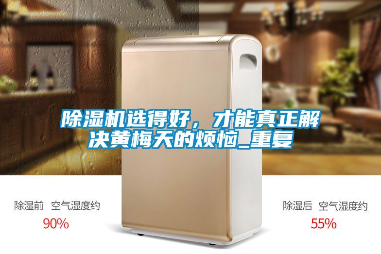 除湿机选得好，才能真正解决黄梅天的烦恼_重复